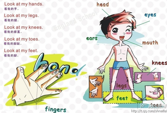 每天聽(tīng)讀英語(yǔ)對(duì)少兒英語(yǔ)學(xué)習(xí)習(xí)慣養(yǎng)成很重要