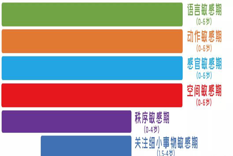 幼兒多大學英語好？啟蒙階段最重要